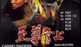 电影至尊无上在线观看,巅峰对决，在线观影指南