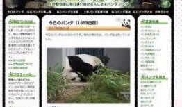 熊猫天天最新新闻爆料,最新热点事件内幕曝光